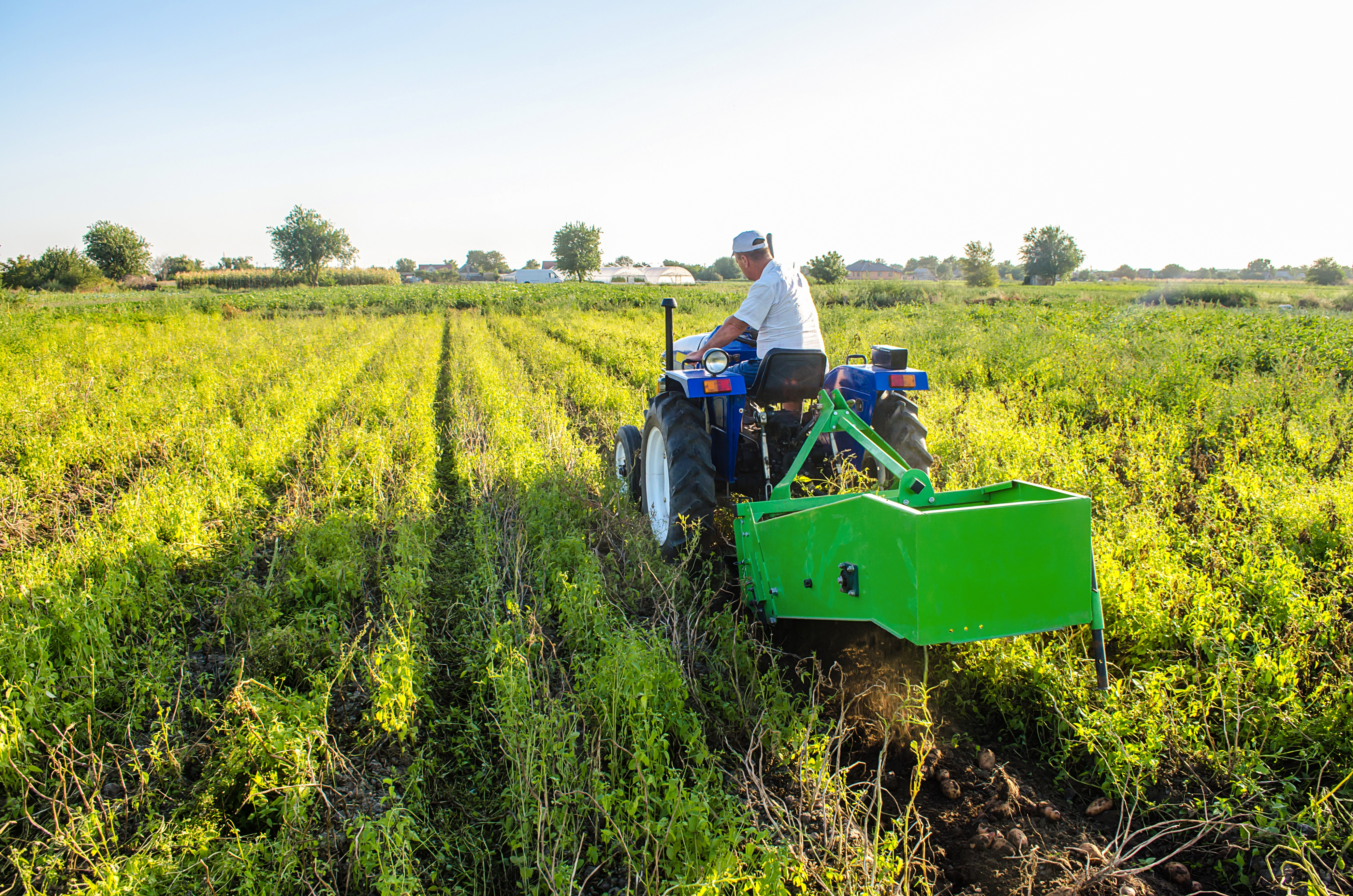 A farmer on a tractor with an aggregate of equipment for digging out potato. Farming and farmland